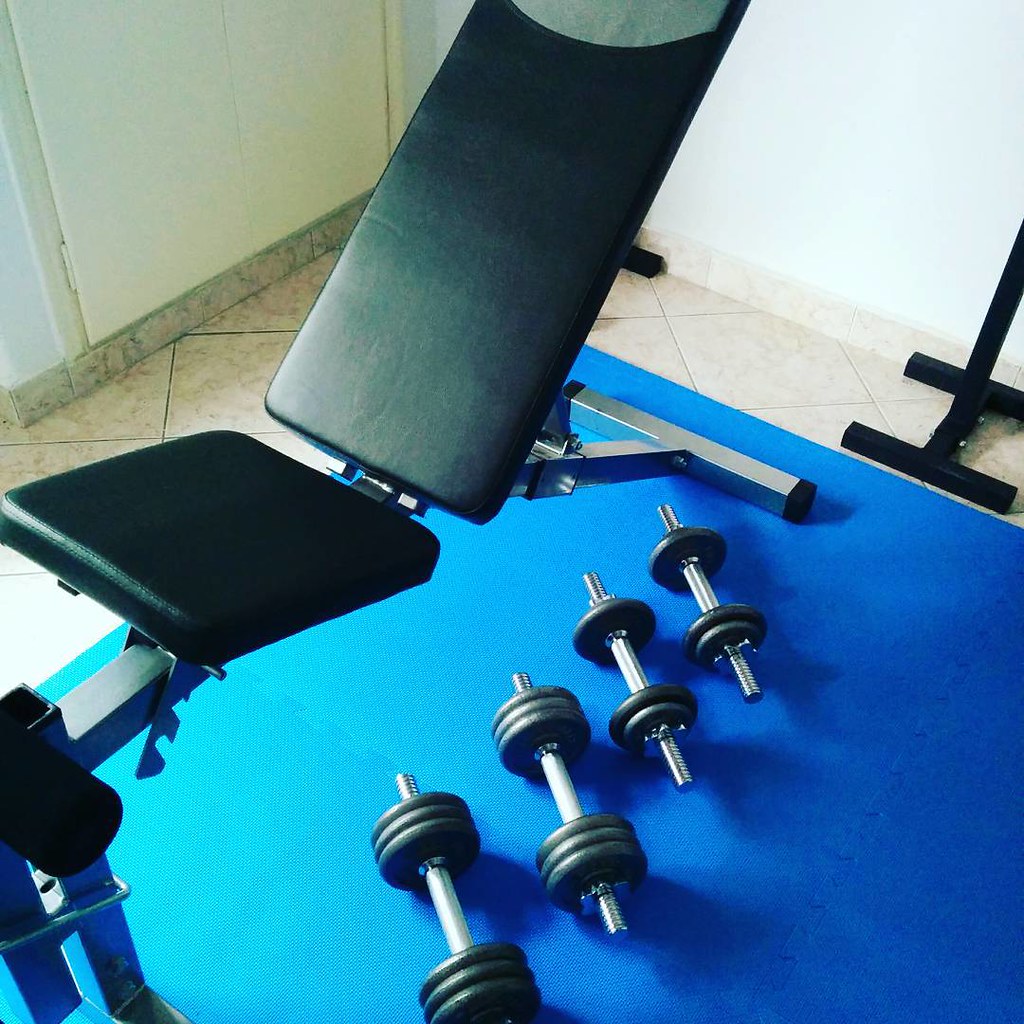 Kurzhanteltraining: Warum freie Gewichte so vielseitig sind